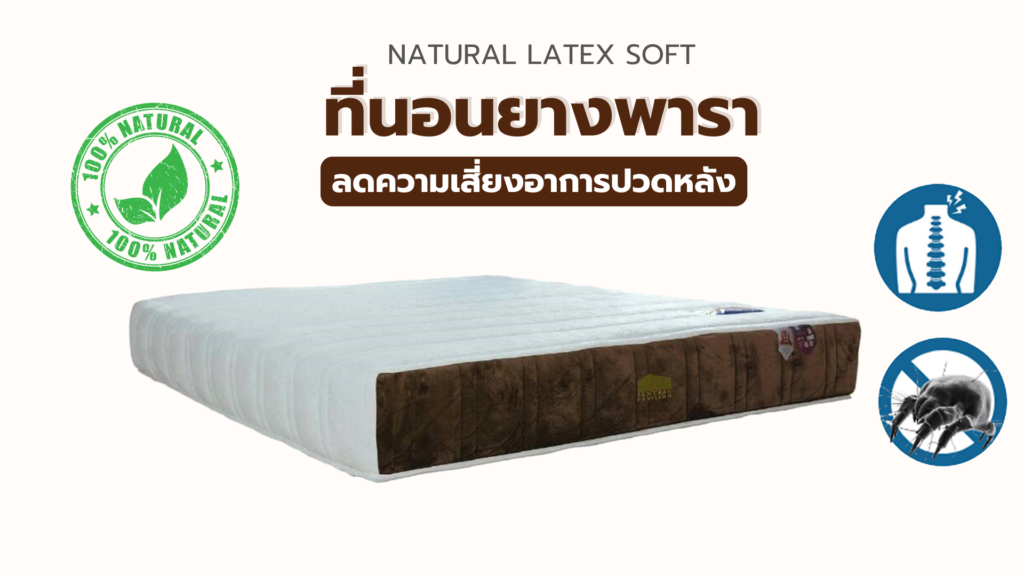ที่นอนยางพารา รุ่น LATEX SOTF